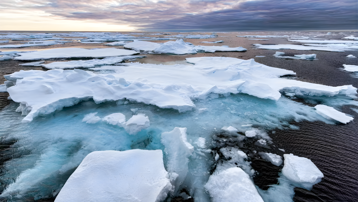 Melting Arctic sea ice floating across dark water under cloudy sky.